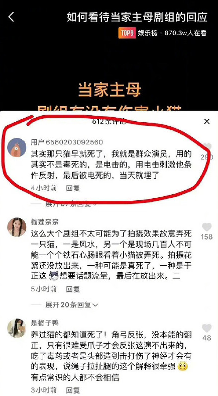 造谣《当家主母》中的猫被电死 抖音用户被行拘