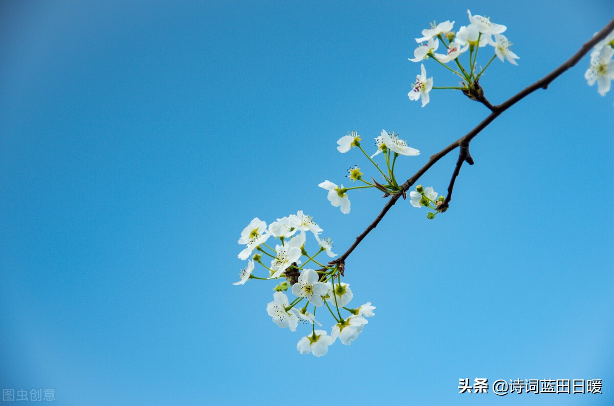 关雎原文及翻译（关雎原文翻译及注释）