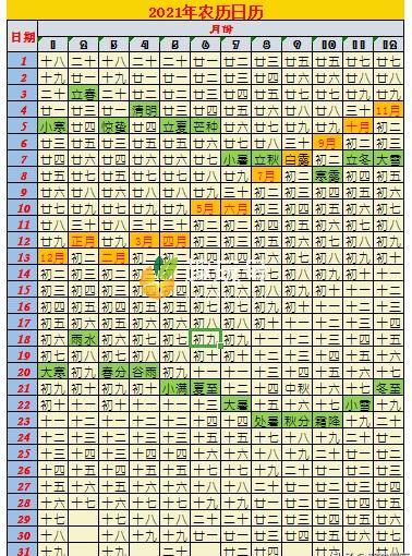 2021是什么年（2021生肖图表波色表图高清图）