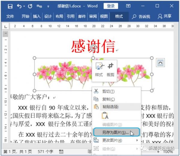 怎么把word转成图片格式（czi文件如何转成图片格式）