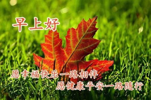 祝福短信最温馨的话（温馨的短信祝福短句）带字，早安祝福语短信大全