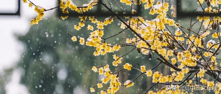 浪淘沙夜雨做秋翻译（浪淘沙夜雨做秋翻译及赏析）