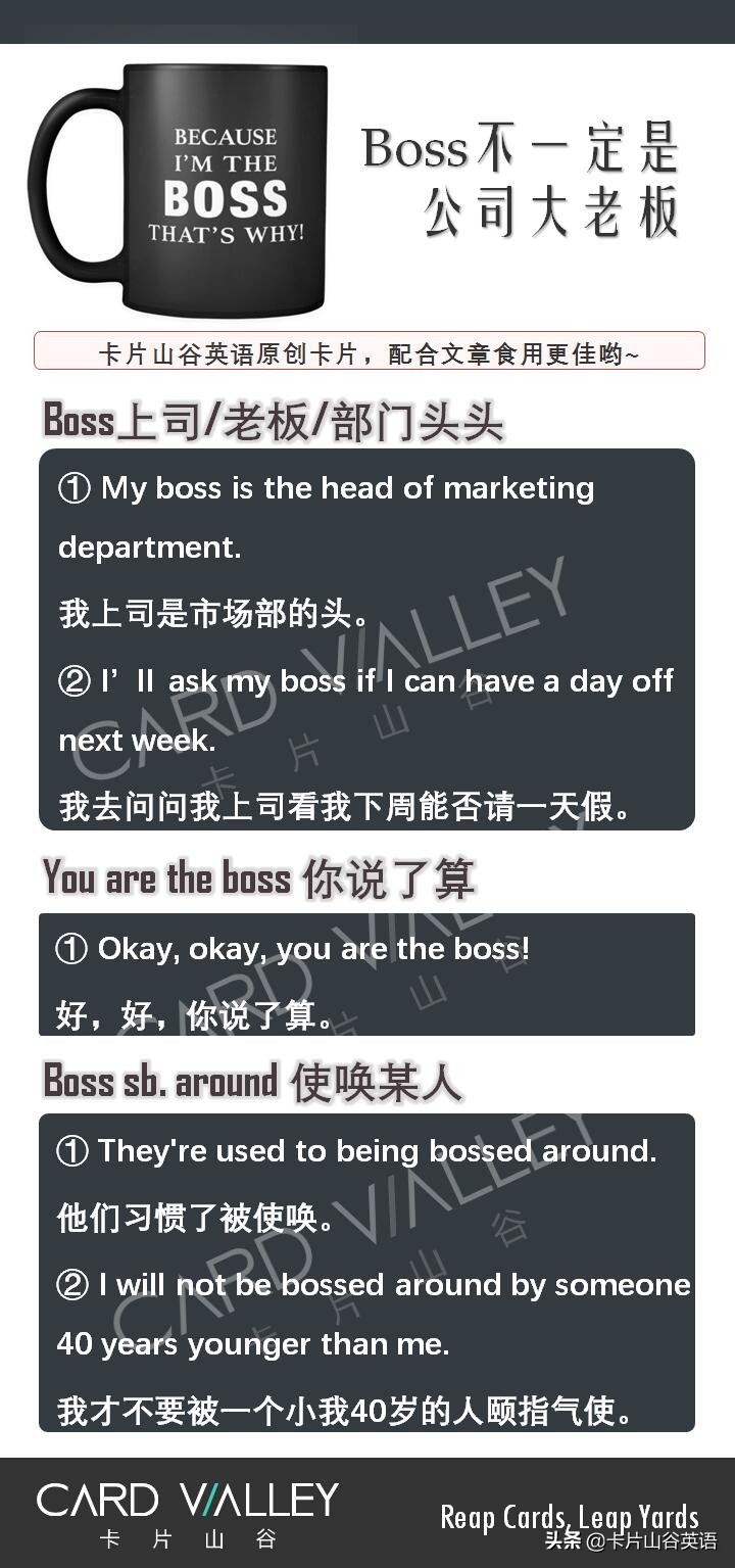 boss是什么意思(boss中文叫什么)